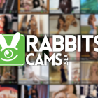 RabbitsCams